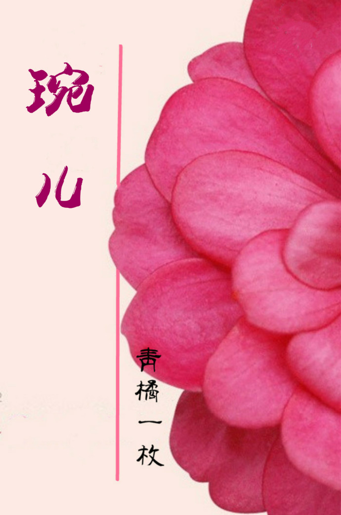 女主角叫婉儿的小说封面
